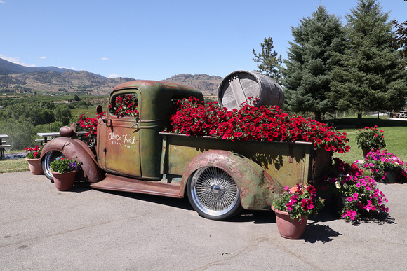Oliver Twist Winery, Osoyoos