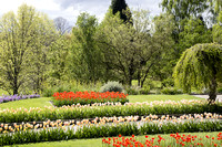 Hobart Botanic Gardens