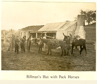 Billman's Hut with pack horses