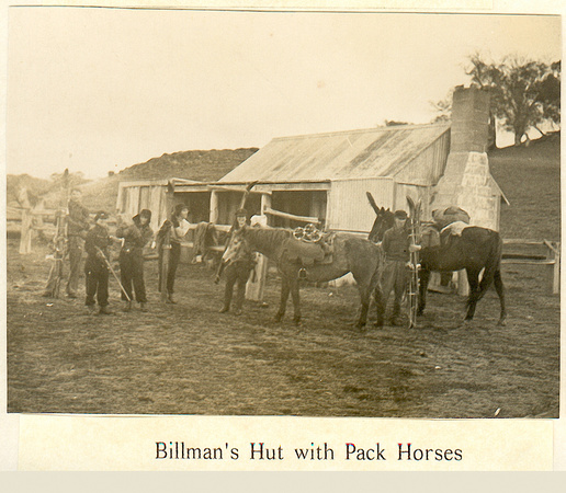 Billman's Hut with pack horses