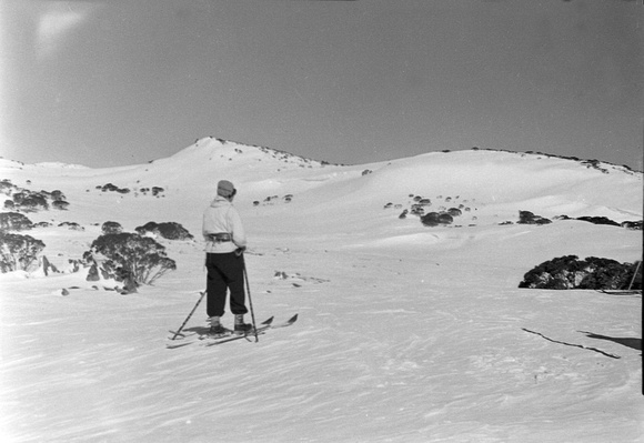 Skiing from Alpine Hut, early 1940's