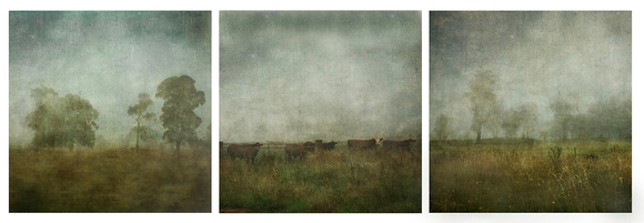 Landscape triptych*
