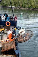 Crab Fishermens tour