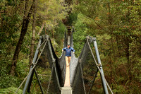 Swing bridge over Franklin River