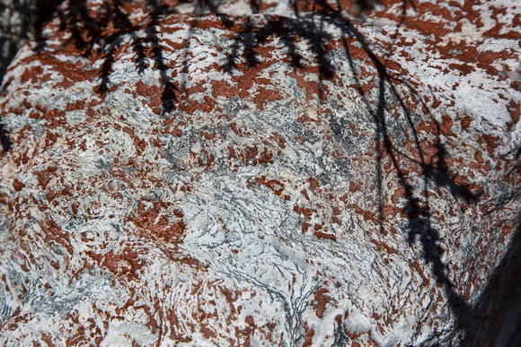 Lichen on rocks, Crater Lake
