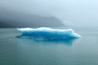 Blue iceberg, Endicott Arm