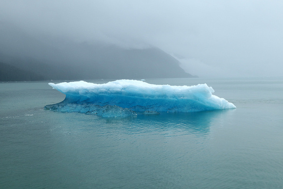Blue iceberg, Endicott Arm